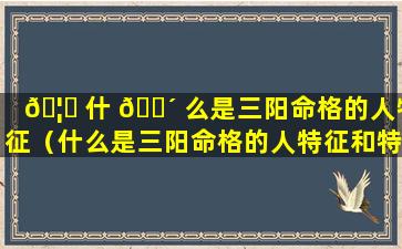 🦁 什 🌴 么是三阳命格的人特征（什么是三阳命格的人特征和特征）